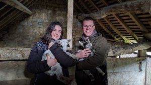 Soins apportés et sortie des chevreaux