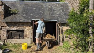 Le nettoyage des litières est important afin d'assurer une hygiène et un confort de vie irréprochable à nos animaux