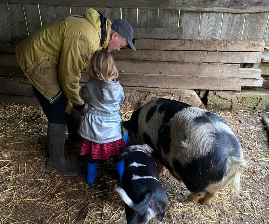 Stage et activités à la ferme pour les familles